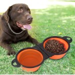 Portable Pet Bowl Factory - Silicone Collapsible Travel Feeding Bowl