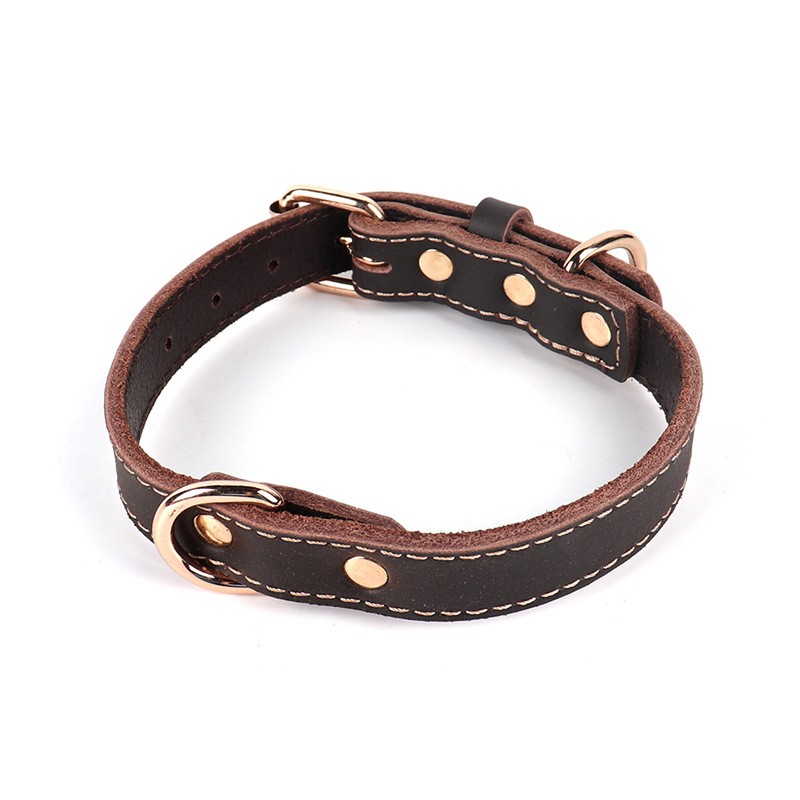 Leather Dog Collar Manufacturer - Cowhide Adjustable Buckle Collar