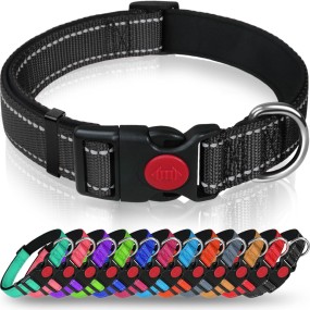 Neoprene Dog Collar Supplier - Padded Reflective Safety Pet Collar