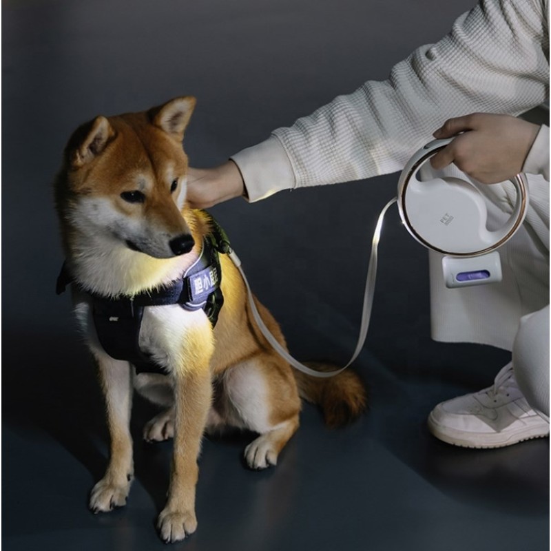 Pet Leash with Light Supplier - LED Flashlight Poop Bag Dispenser