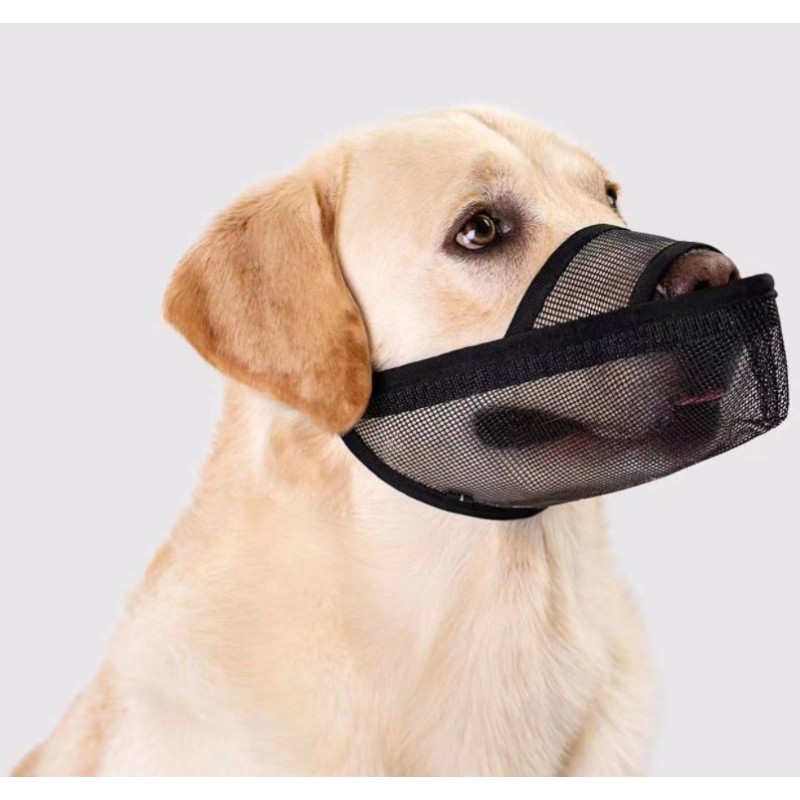 Dog Muzzle Manufacturer - Custom Design Anti Bite Muzzle