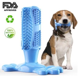 狗狗磨牙玩具厂家-橡胶牙刷清洁玩具