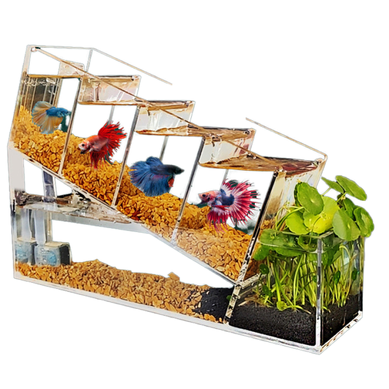 Acrylic Aquarium Factory - Multi Layer All in One Desktop Tank