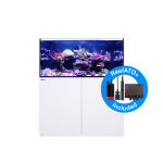 礁岩缸厂家-红海G2+专业海水缸