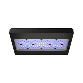 LED灯供应商-X30 215W Cree WiFi海水灯