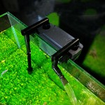 水泵供应商-森森CPF系列电动过滤泵