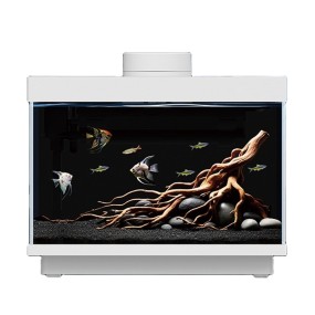 Desktop Aquarium Supplier - 5W Bluetooth Enabled All in One Tank