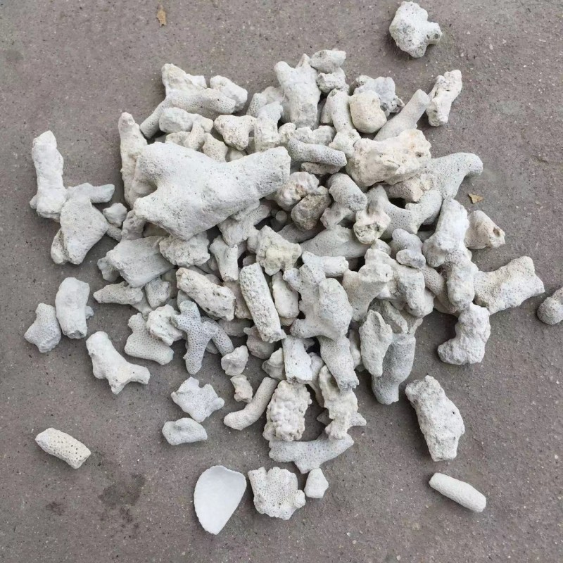 Filter Media Supplier - Eco Friendly Coral Gravel Natural Media