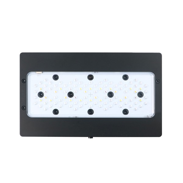 礁岩灯厂家-A8se MAX 240W Cree LED灯