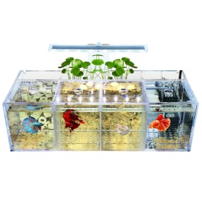 Isolation Tank Factory - Desktop Plastic Breeding Incubator Box