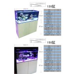 玻璃鱼缸供应商-兰迪底滤海水缸