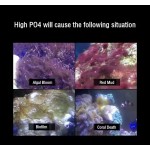 磷酸盐去除器厂家-红海星PR系列反应器
