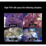 磷酸盐反应器供应商-ZOOBAM桌面过滤介质反应器