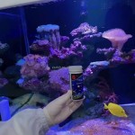 测试条厂家-6包装鱼缸水质测试条