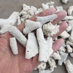 过滤介质供应商-环保珊瑚砂天然滤材