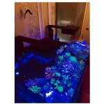 鱼缸套装厂家-红海MAX E海水水族箱套装