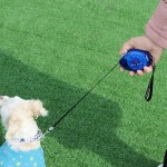 狗牵引绳厂家 - 2.5米伸缩小型犬牵引绳