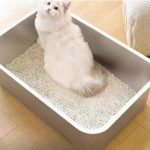 猫砂盆生产厂家 - OEM定制不锈钢猫砂盘