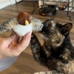 猫薄荷玩具厂家 - 抗咬枕头玩具
