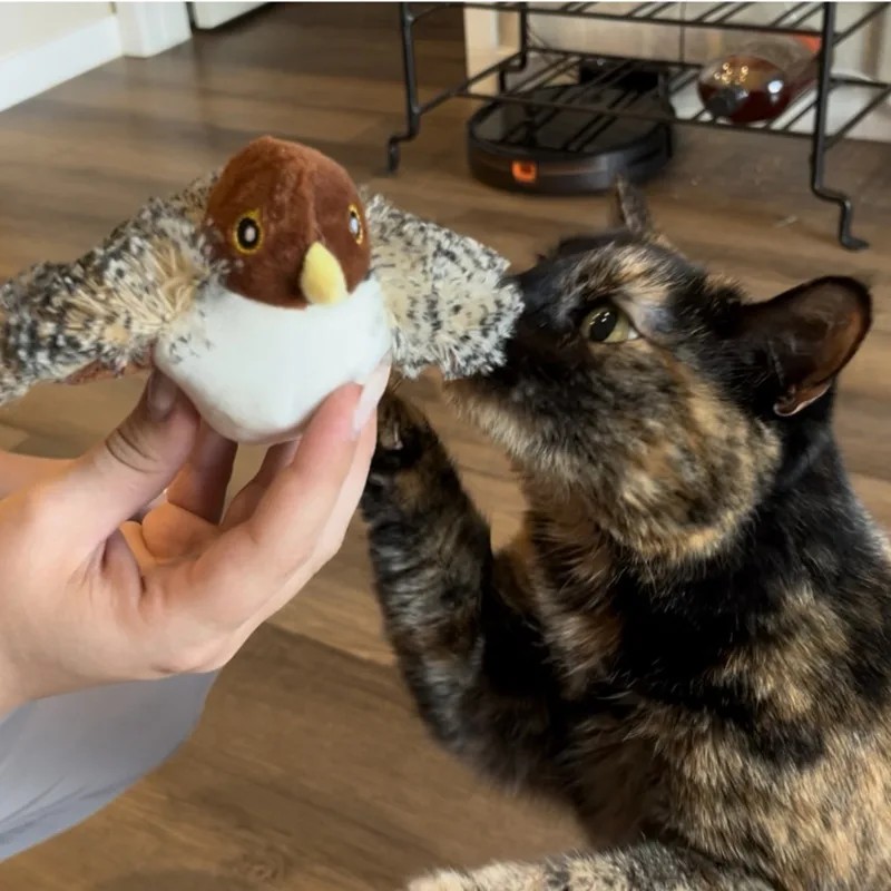 Catnip Toy Factory - Bite Resistant Pillow Toy