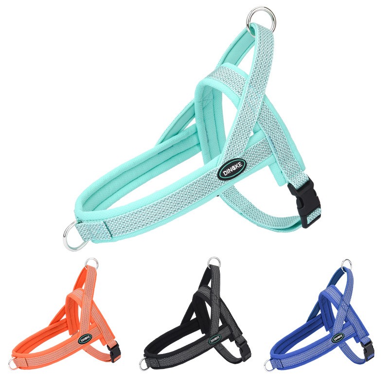 Dog Leash Factory - Sturdy Polyester Padded Leash