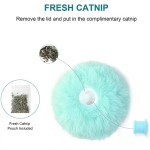 自动猫玩具厂家 - 新款USB充电蜜蜂玩具