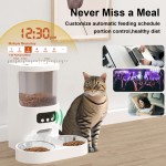 自动猫喂食器厂家 - 3升APP控制定时喂食器