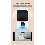 自动猫喂食器生产厂家 - 批发WIFI摄像头喂食器