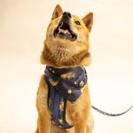 Poop Bags Factory - Christmas Degradable Garbage Bags