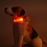 LED Collar Manufacturer - Waterproof Rechargeable Pet Safety Collar Light