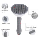 Water Spray Brush Supplier - 3-in-1 Rechargeable Pet Steam Brush Comb