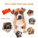 Pet Toy Supplier - TPR Dog Plush Toys Durable Chew Holiday Playing