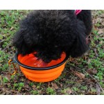 Pet Feeder Factory - Stable Stand Neck Care Water Drinking Bowls