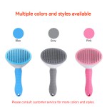 Water Spray Brush Supplier - 3-in-1 Rechargeable Pet Steam Brush Comb