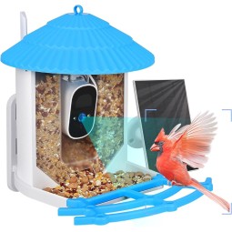 Automatic Feeder Factory - Solar Light Power Glass Tube Bird Feeder