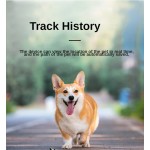 Mini GPS Tracker Supplier - GF07 GSM/GPRS Pet Kids Car Locator