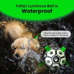 Smart Toy Manufacturer - Electronic Pet Ball Automatic Rolling Training