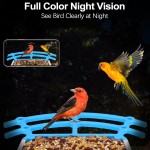 Automatic Feeder Factory - Solar Light Power Glass Tube Bird Feeder