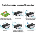 Wireless Dog Fence Manufacturer - Electronic Pet Training Collar with Dual Range Control