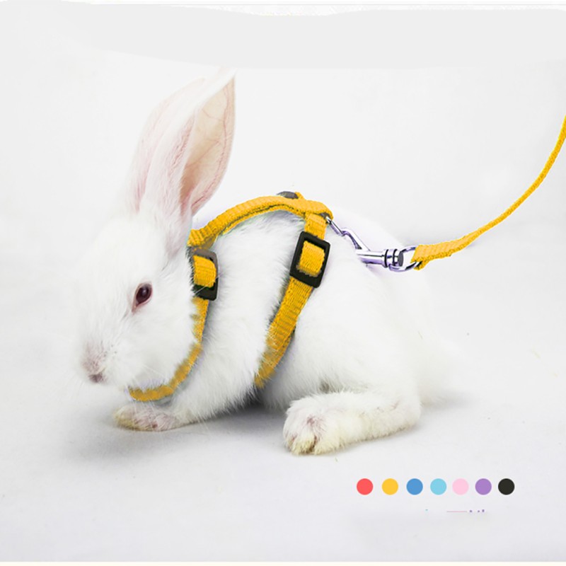 Hanging Feeder Supplier - Rabbit Pouch Bag Holder Feeding Dispenser