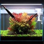 Water Pump Manufacturer - Jebao Q ACQ LCD Display Controllable Return