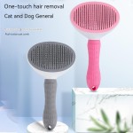Water Spray Brush Supplier - 3-in-1 Rechargeable Pet Steam Brush Comb