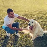 Pet Carrier Factory - Handbag Travel Dog Oxford PU Car Seat Bag