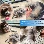 Pet Dryer Manufacturer - 2-in-1 Portable Hair Dryer Comb Brush Durable