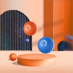 Electronic Pen Supplier - USB Rechargeable Red Dot Laser Cat Toy