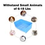 Bird Feeder Factory - Transparent Window Outside Feeder with Suction