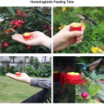 Smart Feeder Supplier - Wireless APP Control Bird Feeder with Camera