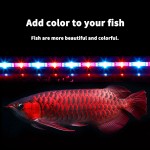 LED Lamp Manufacturer - Multi-Color Full Spectrum 30-120cm Grow Light