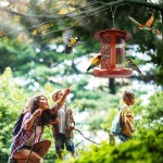 Gazebo Feeder Supplier - Outdoor Wild Bird Feeder Garden Decoration