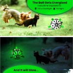 Smart Toy Manufacturer - Electronic Pet Ball Automatic Rolling Training